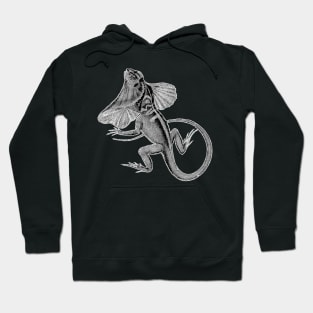 Frilled Neck Lizard | Reptile Animal Hoodie